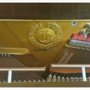 이안리폼 이미지