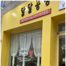 카페 속초 네이버블로그