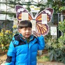 거창하수종말처리장 이미지