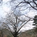 관음사앞 이미지