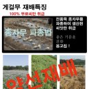 유가약선 네이버블로그