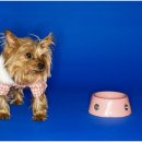 신천동물병원 이미지