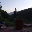 호두나무집 이미지