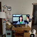 사계화 | [내돈내산 숙소 리뷰] 제주도 서쪽 역대급 숙소 &#39;사계화&#39;