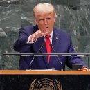 씨메디케어 이미지