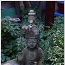 법성어린이집 | 평택 자비사