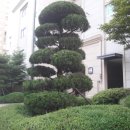 군산아구꽃게해물찜.탕 이미지