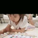 브레인리그주