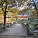 가정1리 이미지