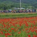 개화영농조합법인 이미지