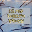 비전3로 | CSLMGF 두피 탈모센터 평택비전점 방문 후기 – 평택 두피관리 제대로 받고 온 날이었어요
