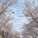 구암동541 이미지