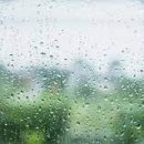 오늘피트니스 이미지