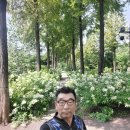 푸른당구장 - 북구 북문대로242번길 7 | 푸른당구장