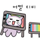 와따캠핑장 이미지