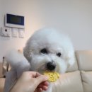 동구네집 이미지