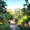 정방연로 이미지