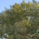 상수리공원 이미지