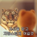 러쉬(LUSH) 이미지