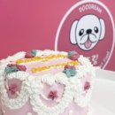 뚜드림수제간식 이미지