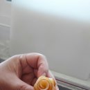 임실농부 이미지