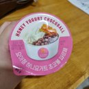 카페봉개 | 요아정 허니요거트 초코볼 파르페&빽다방 크룽지 제주봉개DT 후기