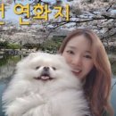 교동872 네이버블로그