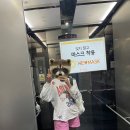 온건메디케어 | 자궁경부이형성증 원추절제술 후기 (강동고은빛산부인과/서호상 원장님)