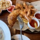 코코넛제주 이미지