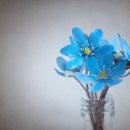 남사중학교(체육관) 이미지