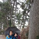 서홍동-7 이미지