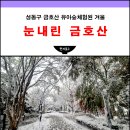 금호산 유아숲체험원 이미지