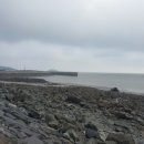 슈올즈 대전중앙시장점 이미지