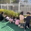 어울림유치원 이미지