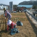 관성3리 이미지