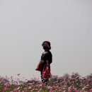 더 마을 핑크 이미지