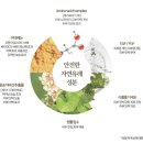 남양주인셀덤