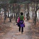 漆谷(옷골)에서望日峰(망일봉)과 脩道山(수도산)大覺寺(대각사)까지 ＜ 대구광역시 북구 서변동＞ 14/02/02 이미지