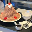 앨리스 in 제주비 | 제주 빙수 맛집 원탑은? 빠빠라기 앨리스 토르토니 만첩 비교 후기