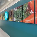 행복한가족 | 분당샤브샤브 분당오리역 샤브올데이 새로 오픈한 장소에서 행복한 가족 모임 후기!