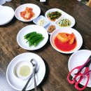원조서울녹각삼계탕 | 김해 복날 맛집 내동 맛집 원조 서울녹각삼계탕 전복 삼계탕 맛집