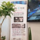 당진수치과의원 | 당진 서울수치과 상담 후기~