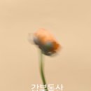 갑부공인중개사사무소 이미지