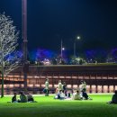 그린마크로 이미지