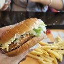 광주세종 이미지