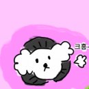 멍뭉냥냥