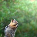 양동보건지소 이미지