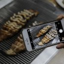 장어독립 이미지