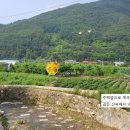 계곡예쁜집 이미지