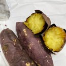 한빛치과의원 이미지